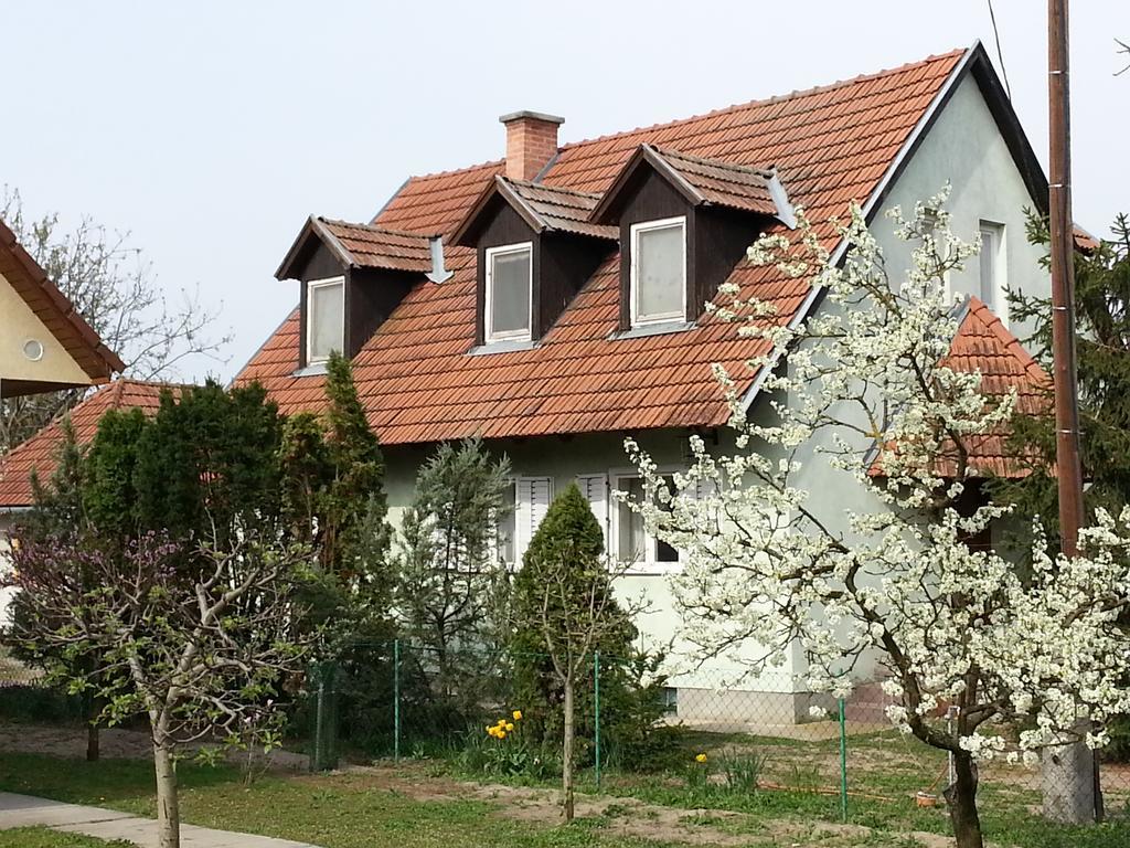 Gyula-Tanya Vendeghaz Villa Csongrad Exterior photo