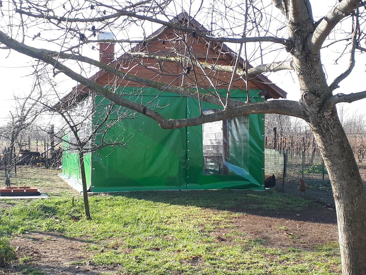 Gyula-Tanya Vendeghaz Villa Csongrad Exterior photo